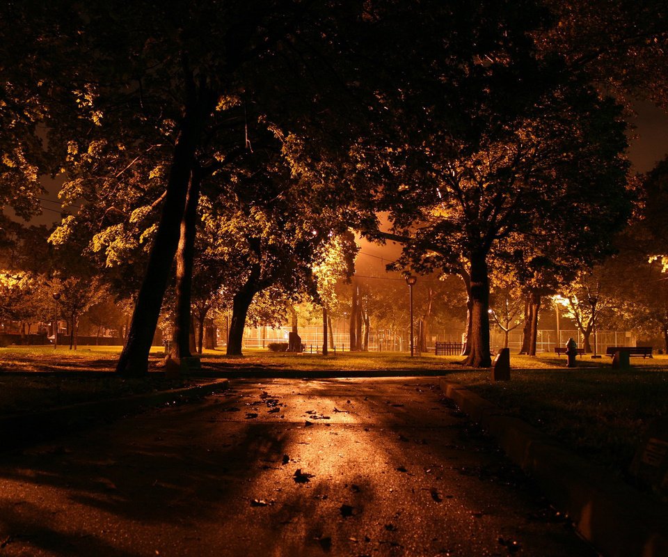 Обои ночь, деревья, фонари, night, trees, lights разрешение 2560x1600 Загрузить