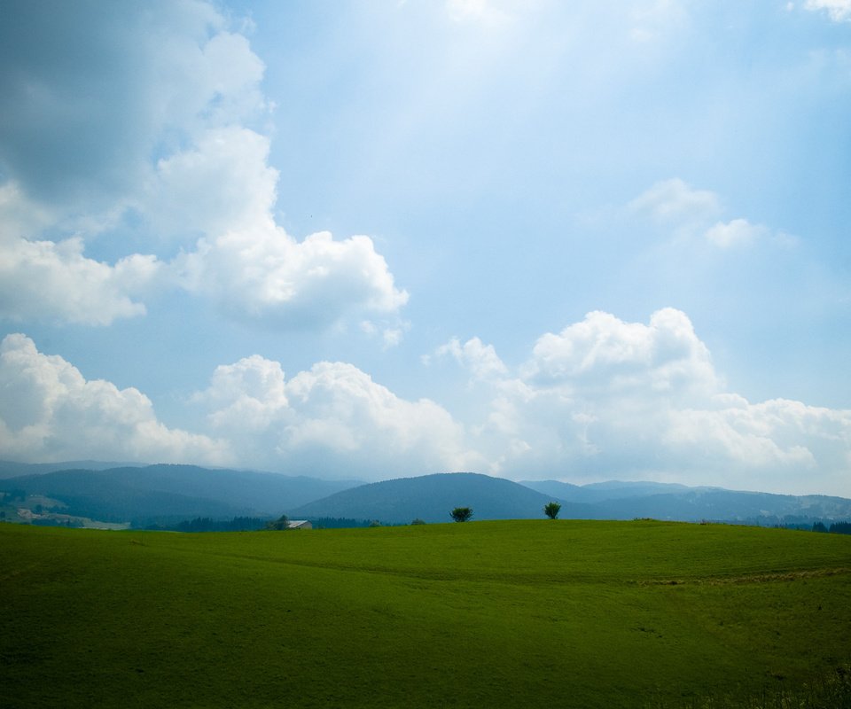 Обои небо, трава, холмы, the sky, grass, hills разрешение 2560x1600 Загрузить
