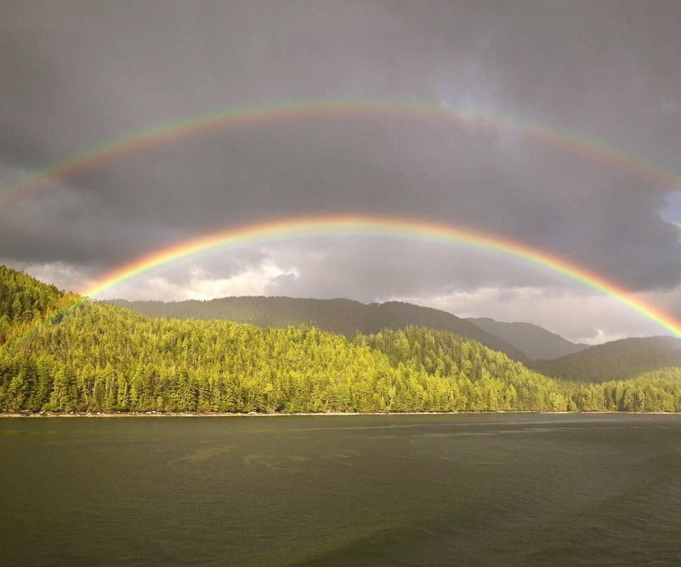 Обои облака, лес, радуга, водоем, clouds, forest, rainbow, pond разрешение 1920x1200 Загрузить