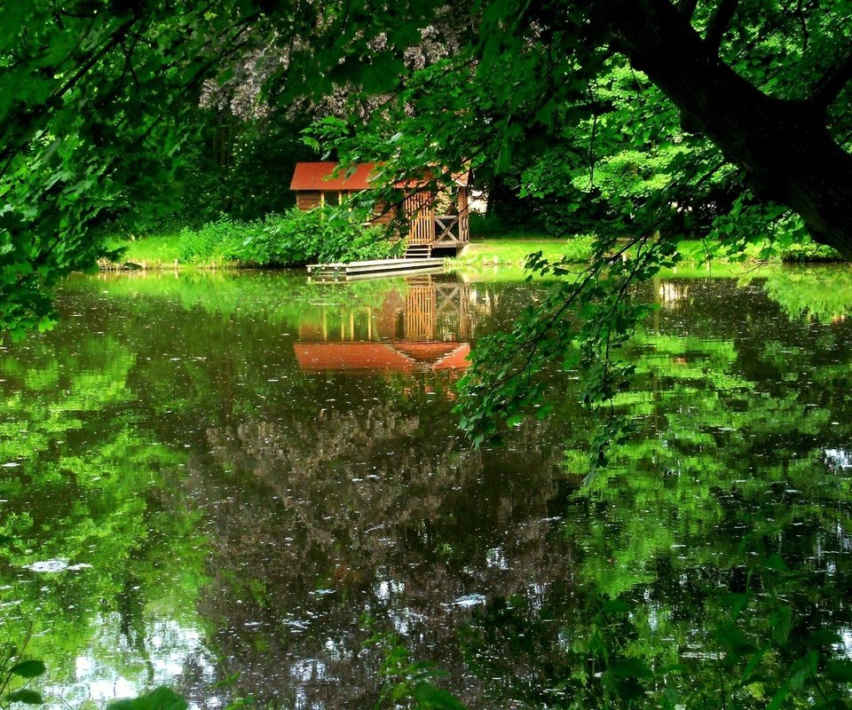 Обои деревья, озеро, dock, trees, lake разрешение 1920x1200 Загрузить