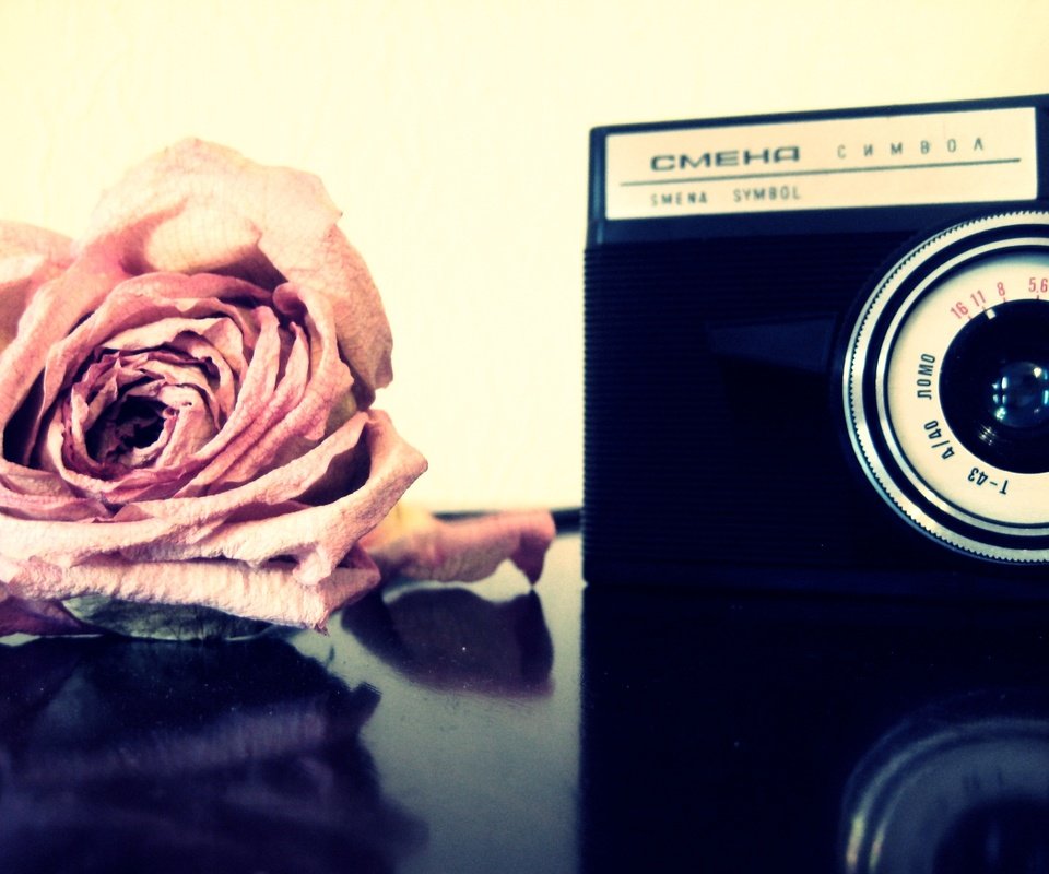 Обои цветы, роза, фотоаппарат, flowers, rose, the camera разрешение 3072x2304 Загрузить