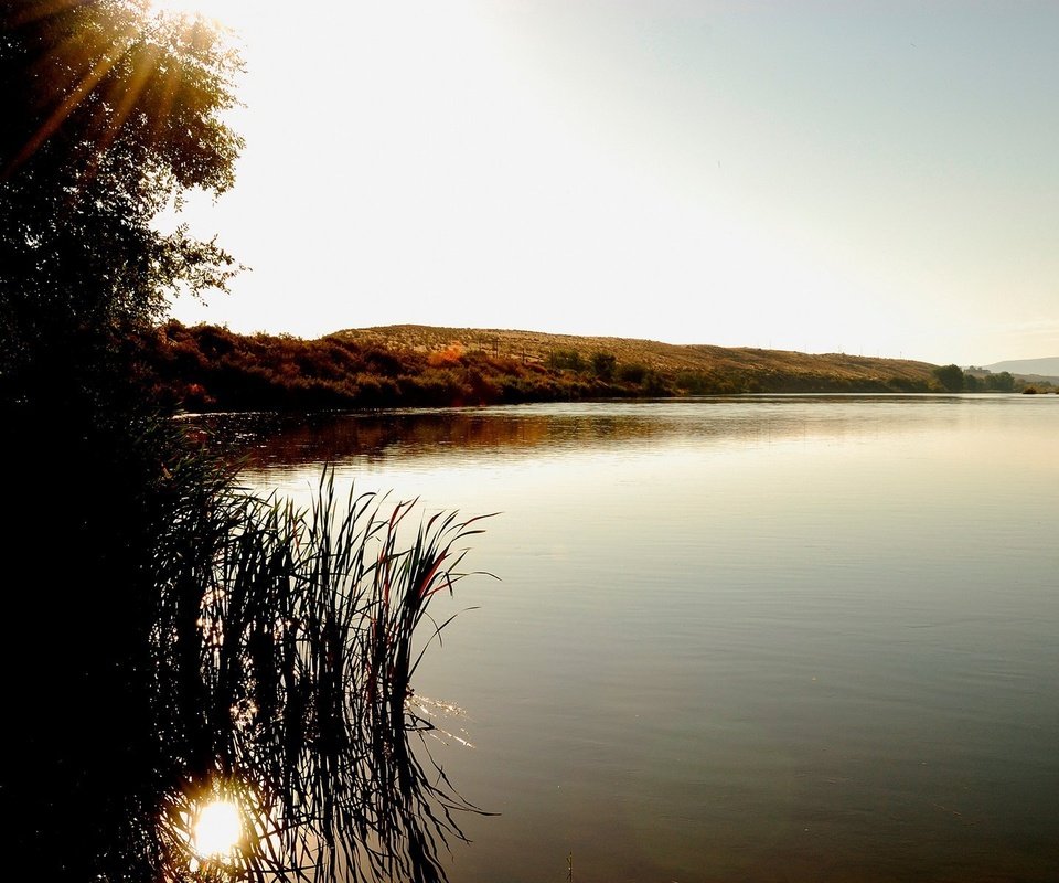 Обои озеро, холмы, дерево, лучи солнца, куст, lake, hills, tree, the rays of the sun, bush разрешение 1920x1200 Загрузить