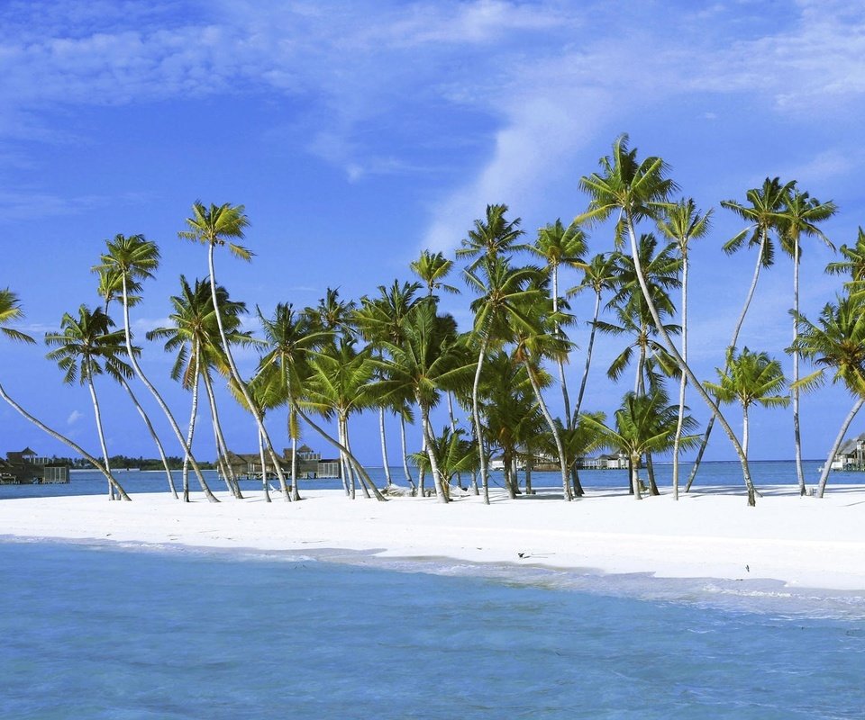 Обои песок, пальмы, остров, sand, palm trees, island разрешение 1920x1200 Загрузить
