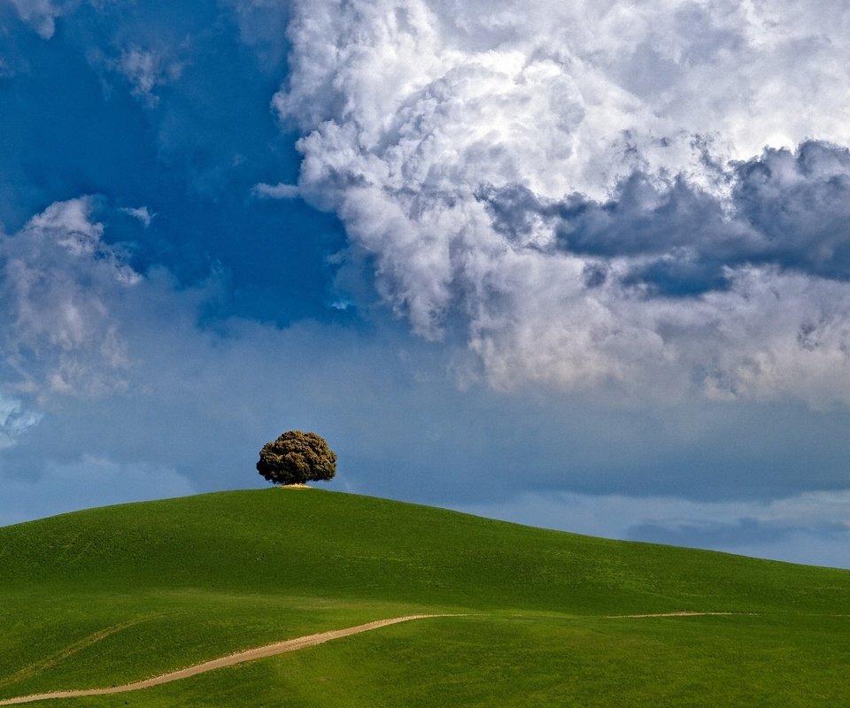Обои облака, дерево, холм, clouds, tree, hill разрешение 2200x1650 Загрузить