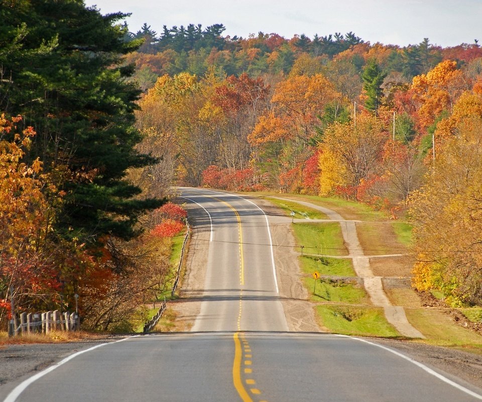 Обои дорога, деревья, осень, road, trees, autumn разрешение 1920x1200 Загрузить