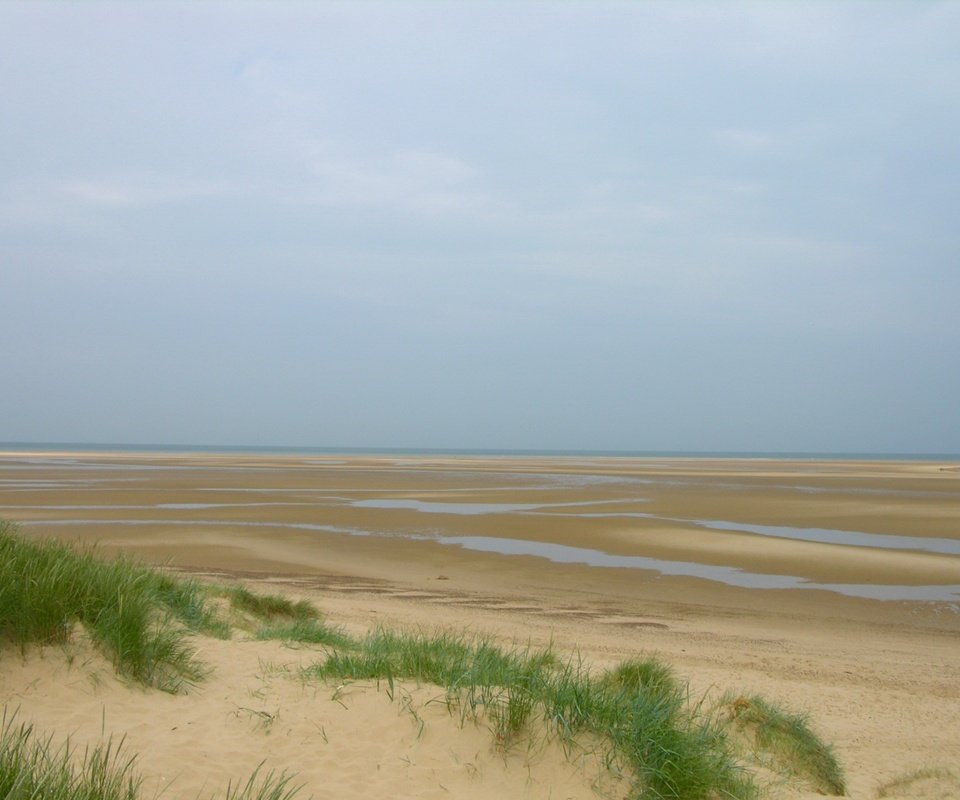 Обои трава, песок, отлив, grass, sand, tide разрешение 1920x1440 Загрузить