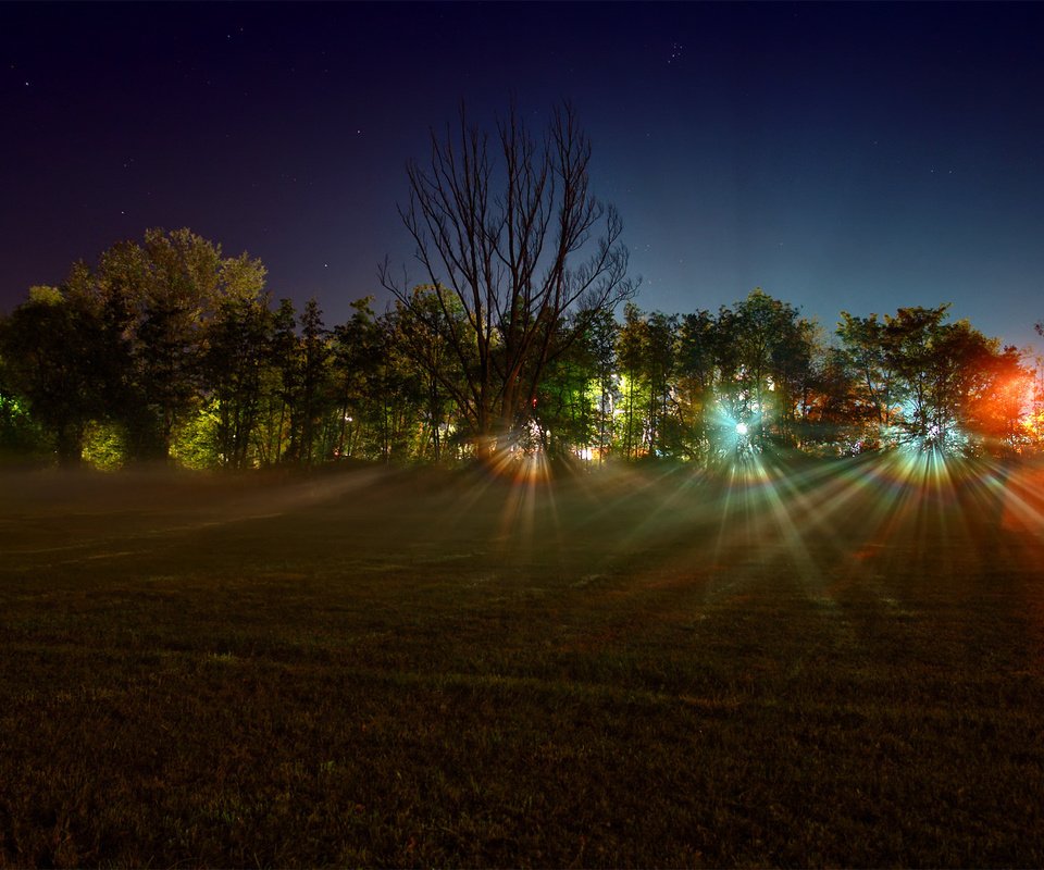 Обои свет, леса, ночь, деревья, огни, фото, лучи, поле, пейзажи, light, forest, night, trees, lights, photo, rays, field, landscapes разрешение 1920x1200 Загрузить