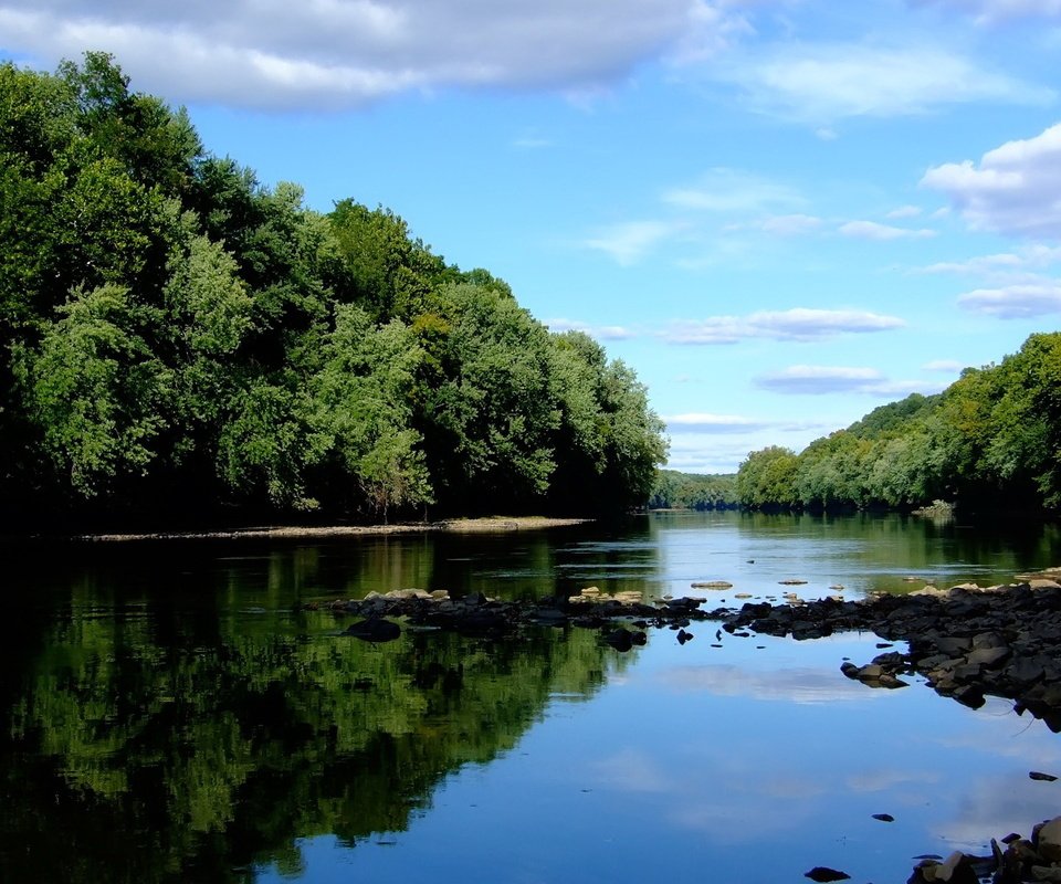 Обои небо, река, лес, the sky, river, forest разрешение 1920x1200 Загрузить