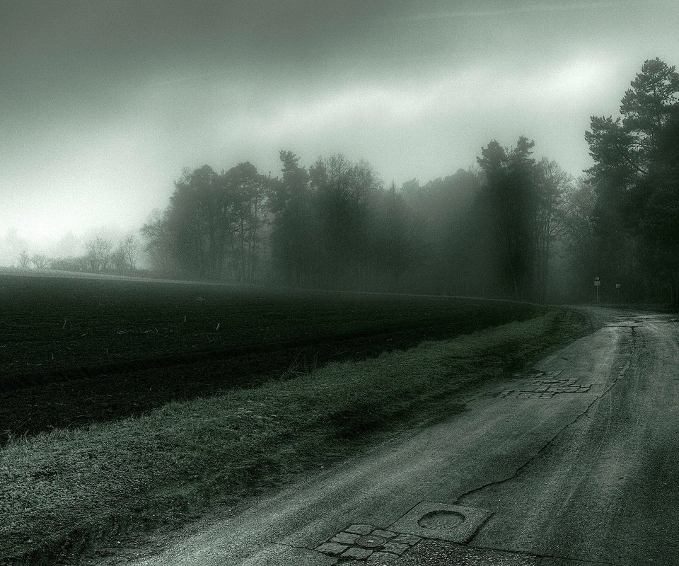 Обои дорога, деревья, мрак, поле, road, trees, the darkness, field разрешение 1920x1200 Загрузить