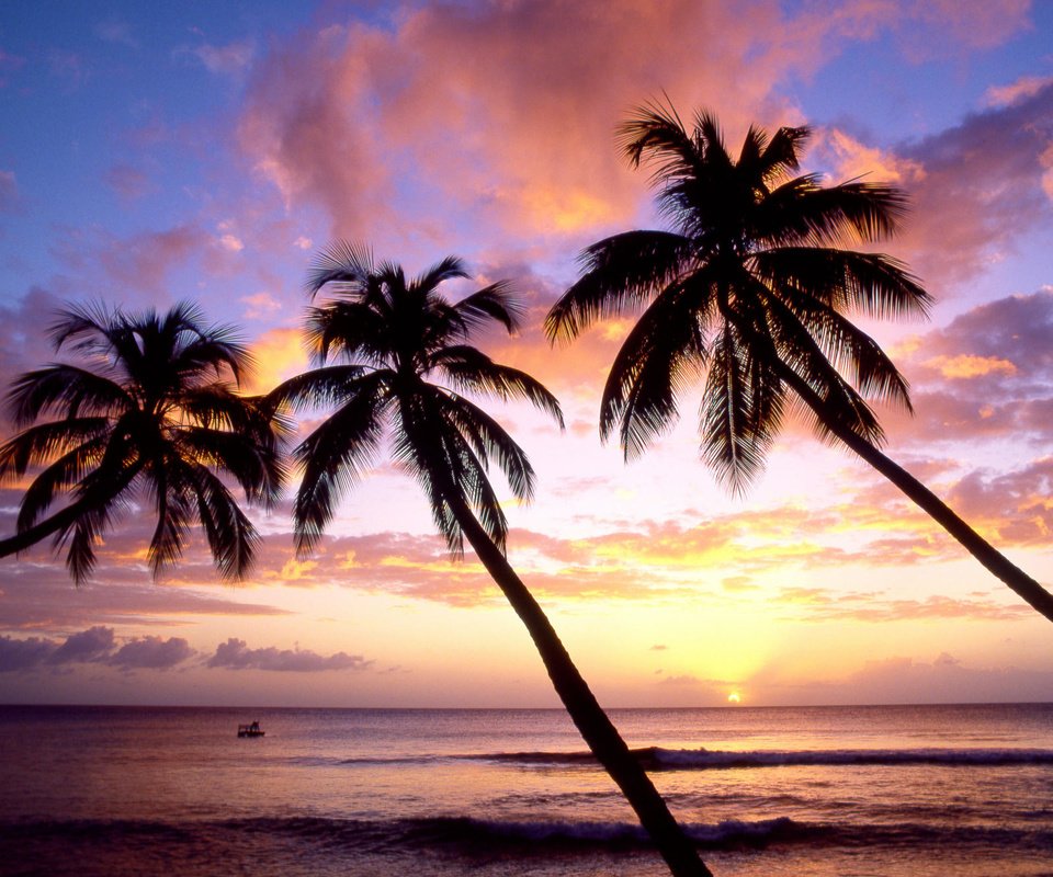Обои закат, море, пляж, пальмы, sunset, sea, beach, palm trees разрешение 2000x1333 Загрузить