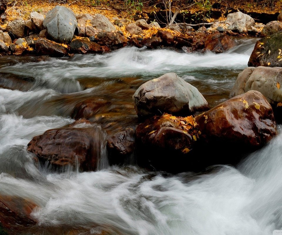 Обои река, природа, камни, листья, осень, river, nature, stones, leaves, autumn разрешение 1920x1080 Загрузить