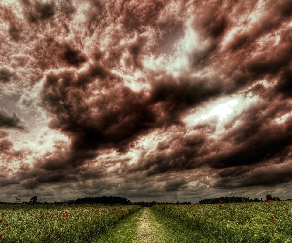 Обои небо, дорога, цветы, трава, деревья, тучи, поле, the sky, road, flowers, grass, trees, clouds, field разрешение 1920x1080 Загрузить