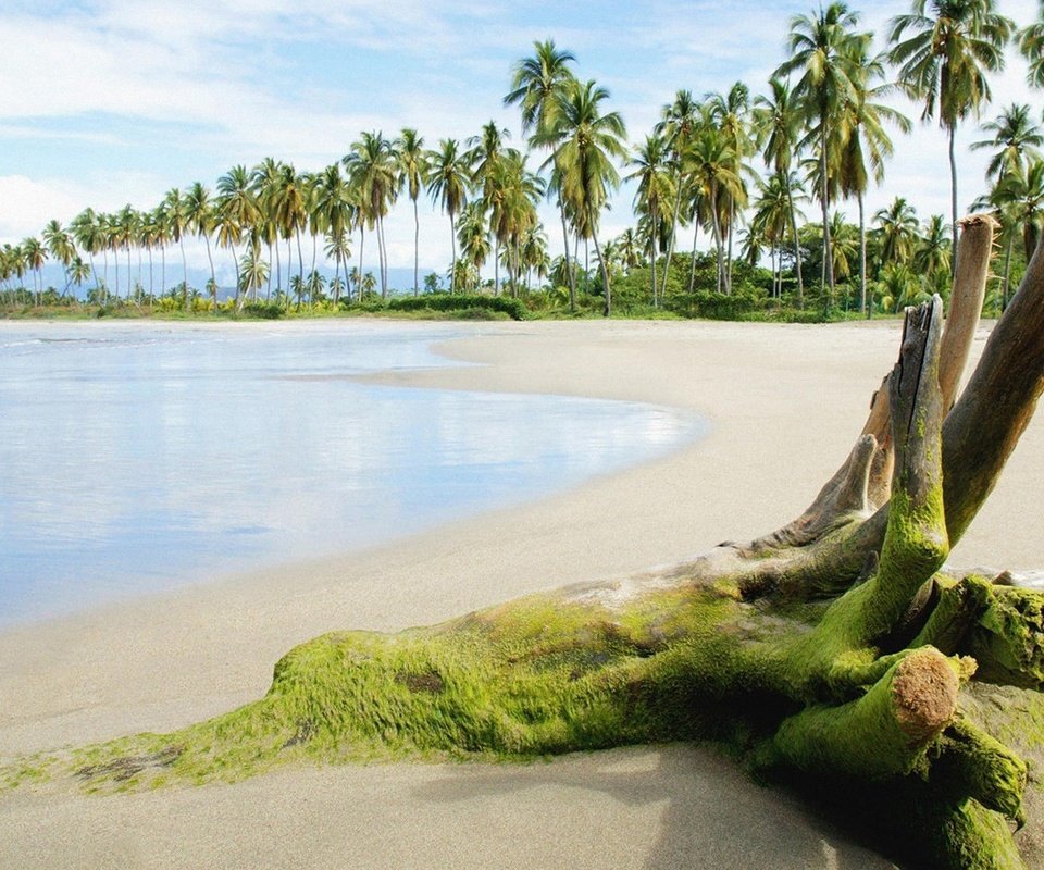 Обои море, песок, пляж, пальмы, тина, sea, sand, beach, palm trees, tina разрешение 1920x1080 Загрузить