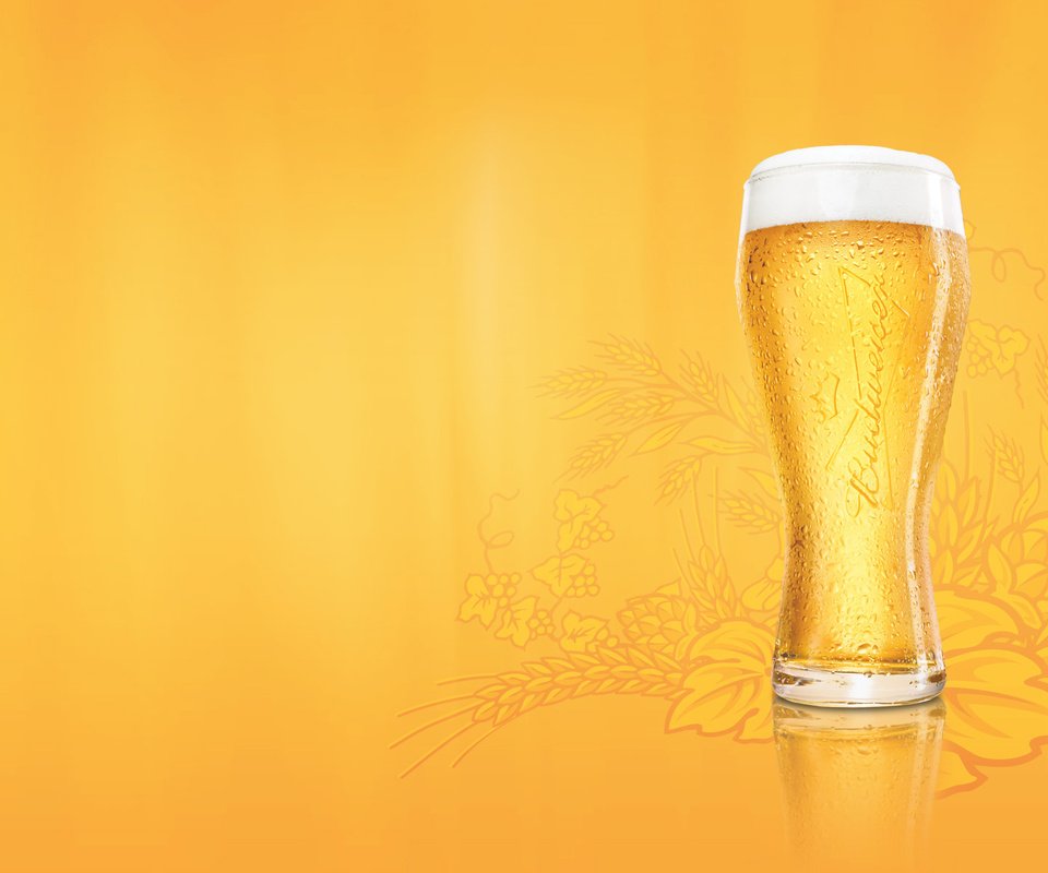 Обои стакан, пиво, пена, budweiser, glass, beer, foam разрешение 1920x1200 Загрузить