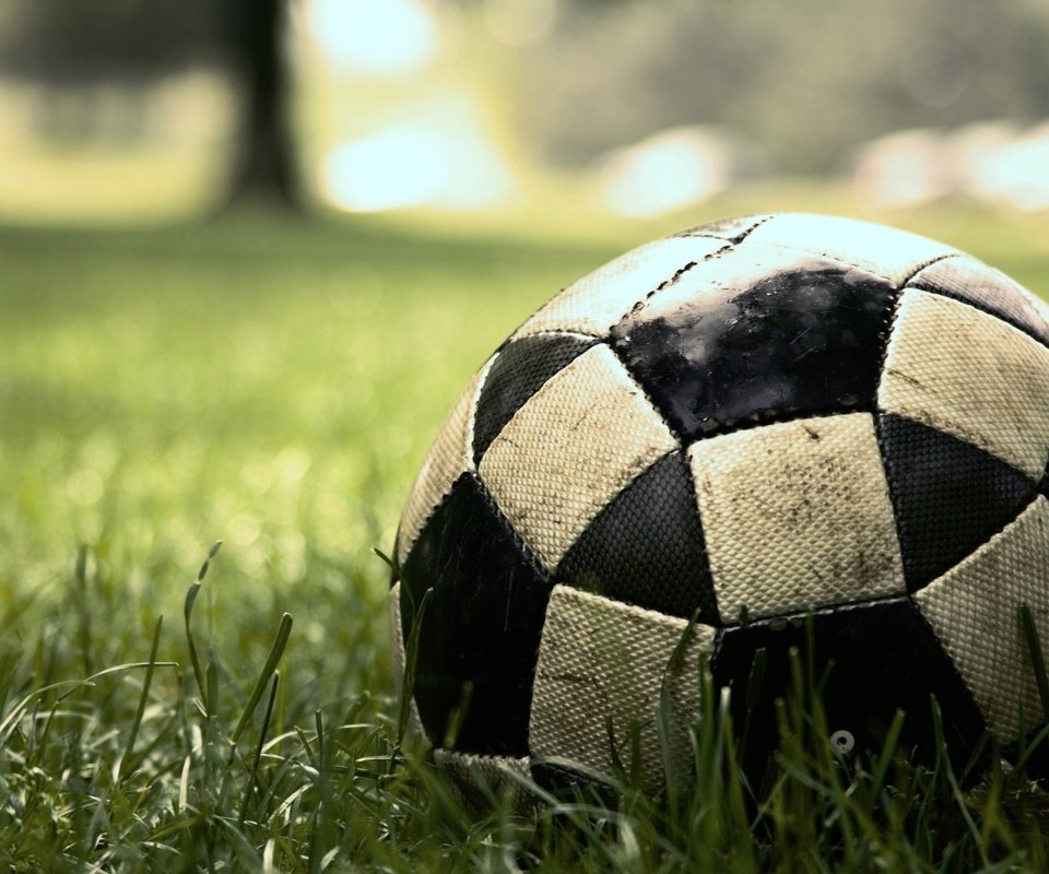 Обои трава, зеленая, мяч, интересно, футбольный, grass, green, the ball, interesting, football разрешение 2560x1600 Загрузить