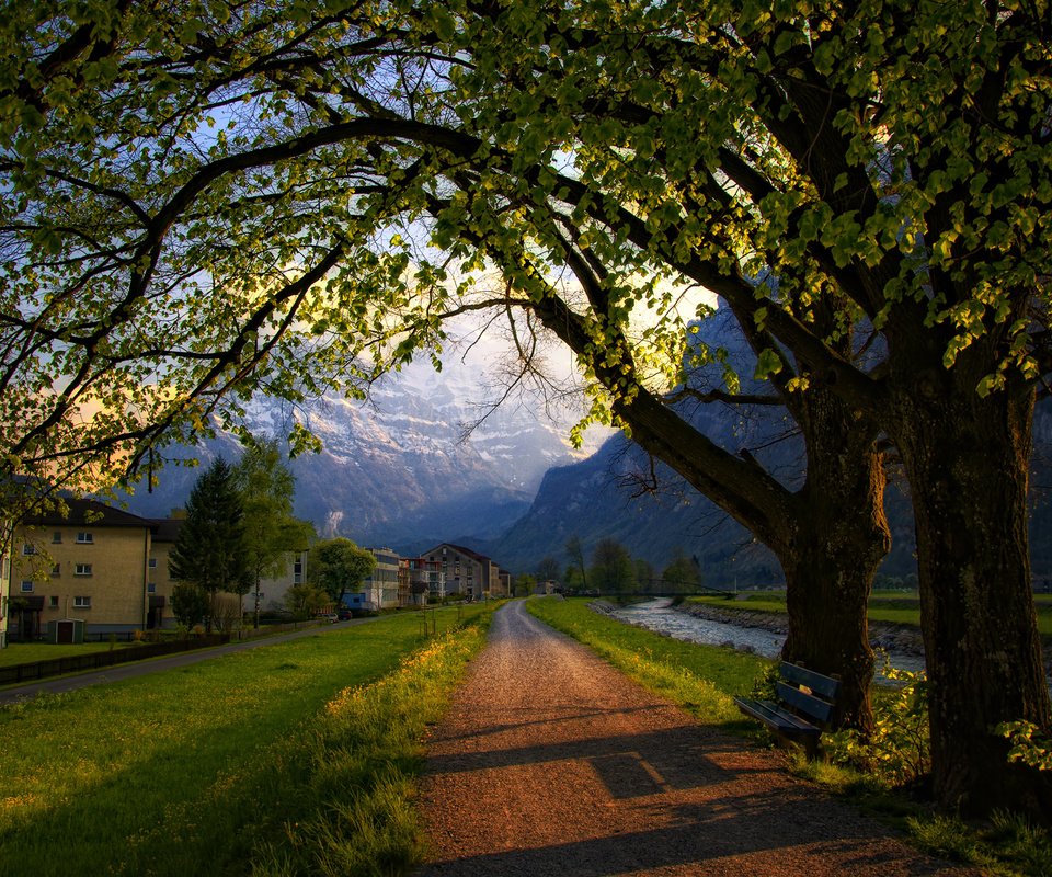 Обои дорога, деревья, вечер, швейцария, весна, road, trees, the evening, switzerland, spring разрешение 2560x1600 Загрузить