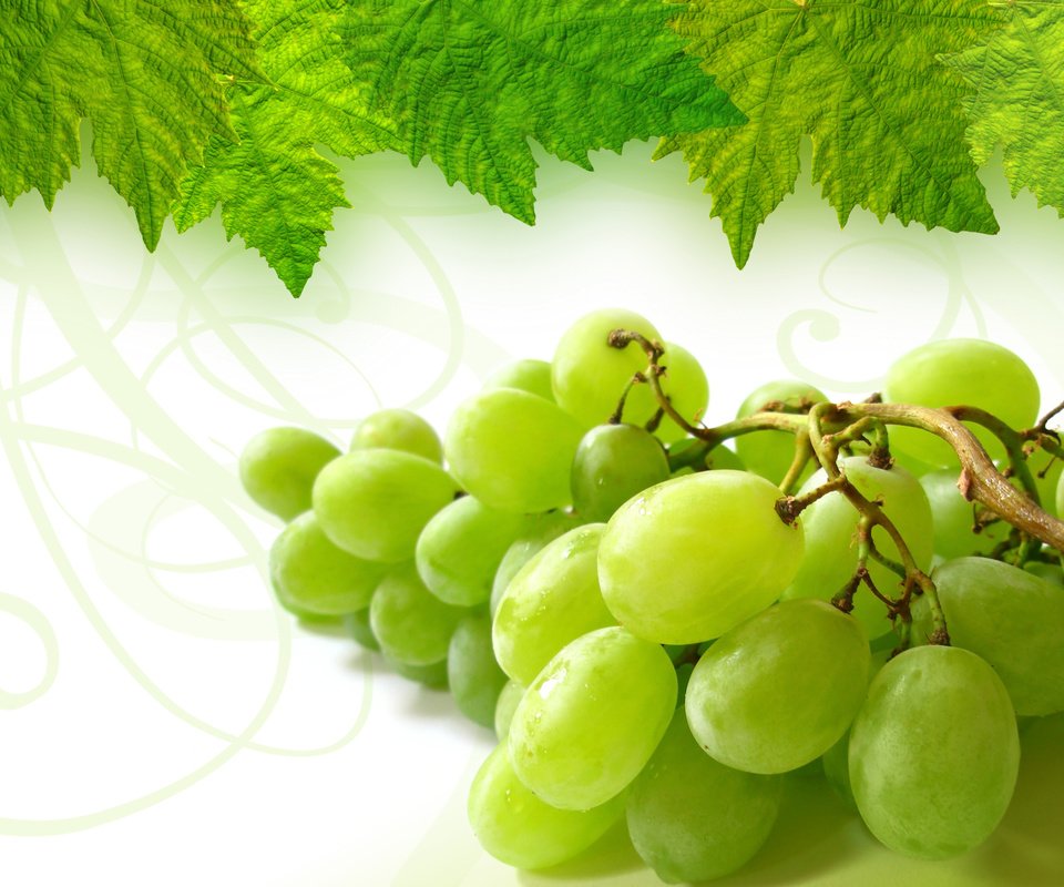 Обои листья, зелёный, виноград, гроздь, leaves, green, grapes, bunch разрешение 2800x2100 Загрузить