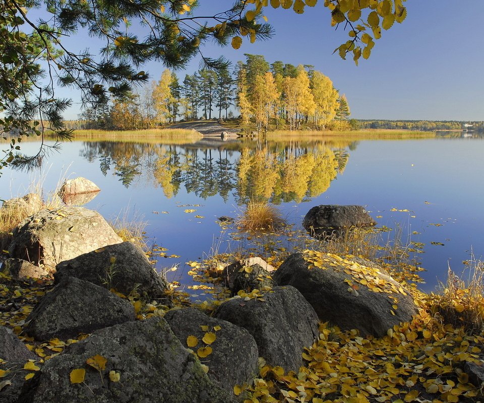 Обои деревья, озеро, камни, листья, отражение, осень, trees, lake, stones, leaves, reflection, autumn разрешение 2560x1600 Загрузить