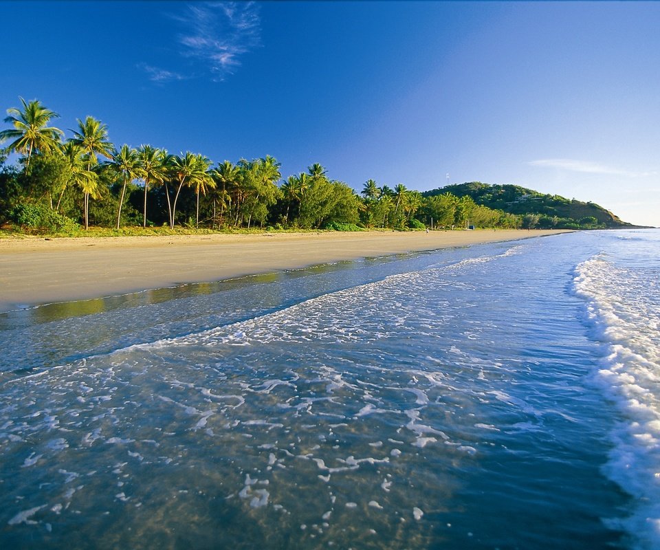 Обои пляж, пальмы, тропики, beach, palm trees, tropics разрешение 3692x2468 Загрузить