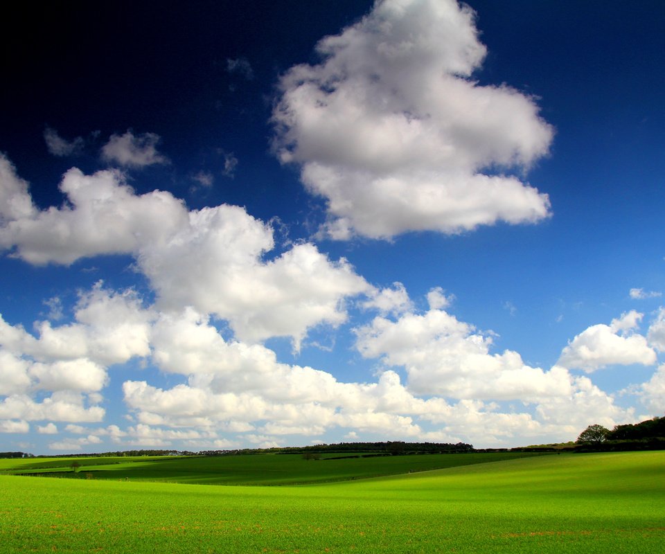 Обои небо, трава, облака, поле, горизонт, the sky, grass, clouds, field, horizon разрешение 5068x3379 Загрузить