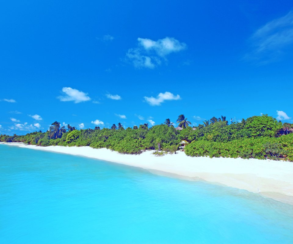 Обои море, пляж, тропики, мальдивы, sea, beach, tropics, the maldives разрешение 5616x3744 Загрузить