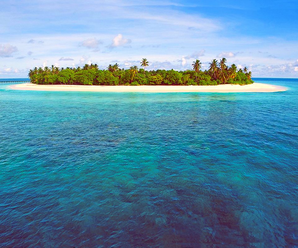 Обои море, пляж, остров, тропики, мальдивы, sea, beach, island, tropics, the maldives разрешение 1949x1323 Загрузить