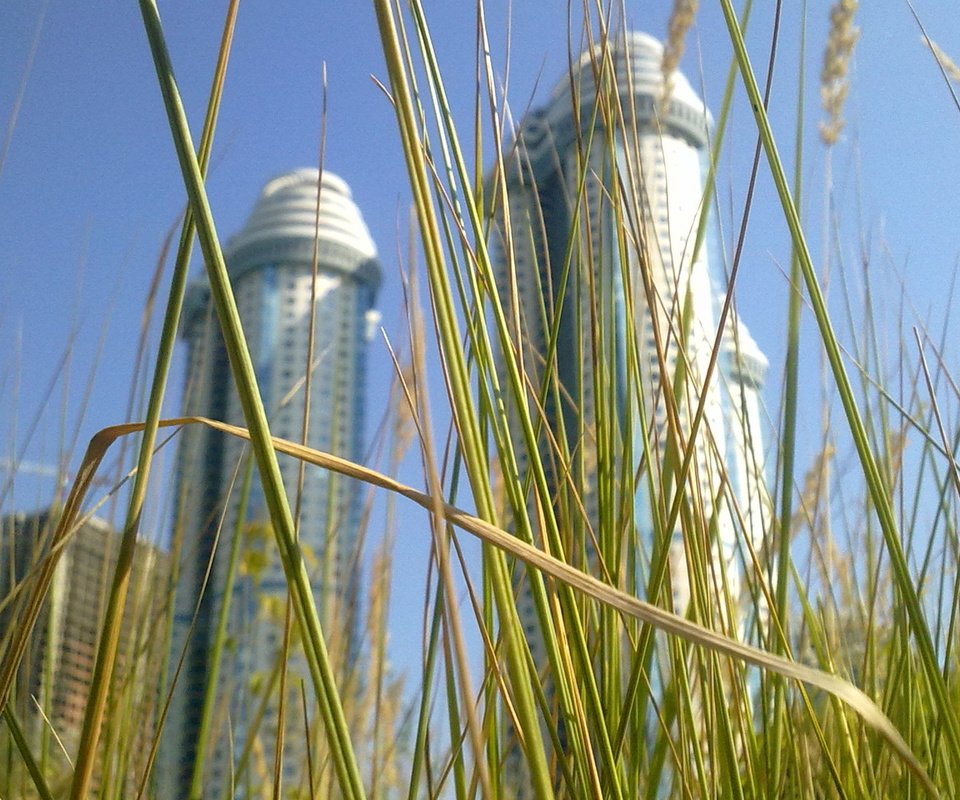 Обои трава, москва, город, небоскрёб, grass, moscow, the city, skyscraper разрешение 1920x1200 Загрузить