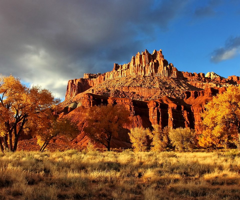 Обои скала, осень, каньон, сша, национальный парк, капитол-риф, capitol reef national park, осенний пейзаж, rock, autumn, canyon, usa, national park, capitol reef разрешение 2560x1600 Загрузить