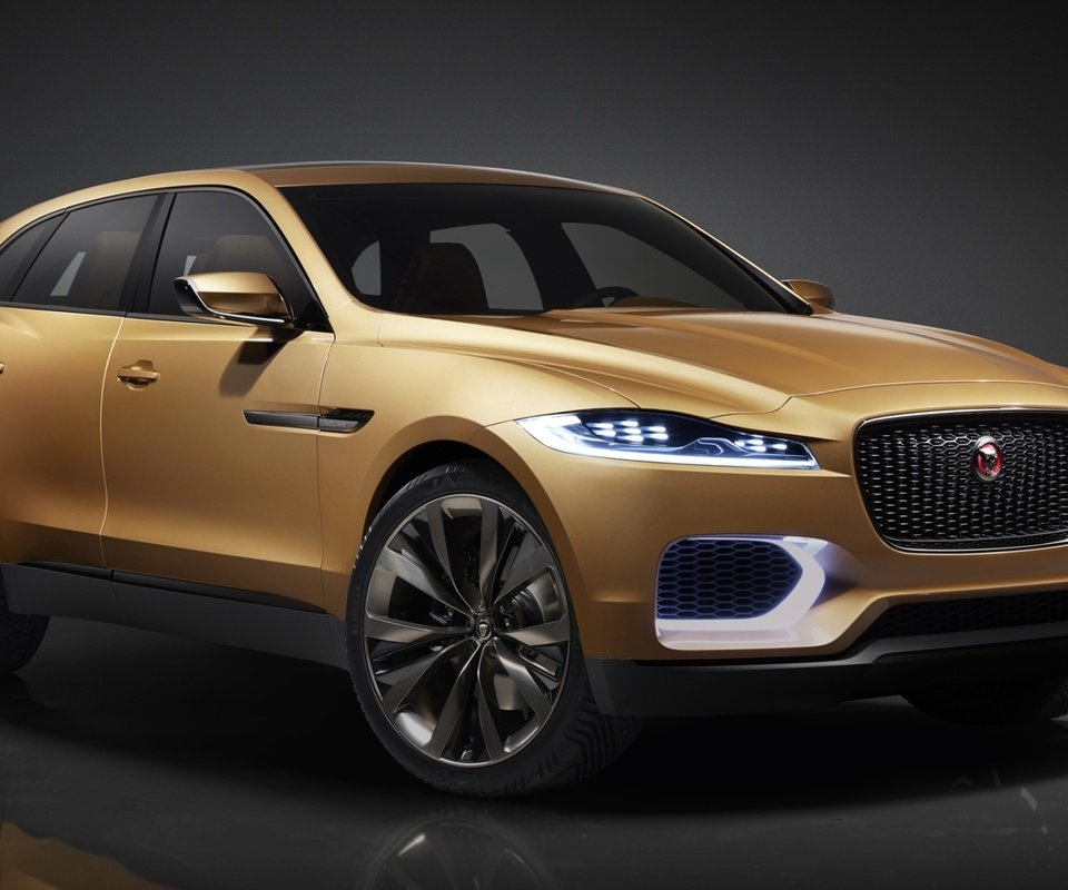 Обои ягуар, concept, концепт, передок, c-x17, 5-seater, ягуа́р, jaguar, the concept, the front, the c-x17 разрешение 1920x1200 Загрузить