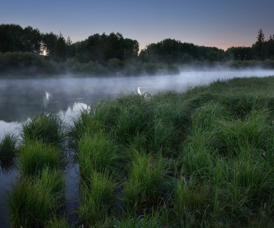 Обои трава, озеро, лес, утро, туман, рассвет, grass, lake, forest, morning, fog, dawn разрешение 1920x1200 Загрузить