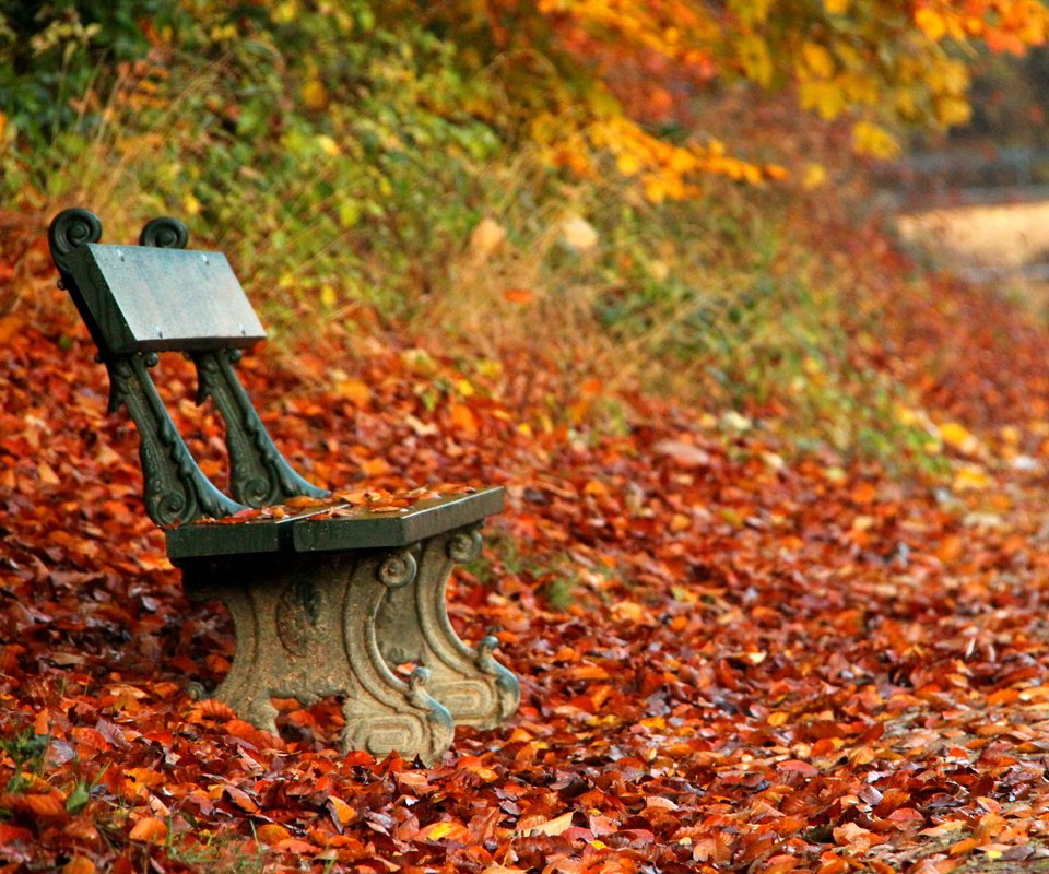 Обои парк, осень, скамейка, скамья, park, autumn, bench разрешение 4702x3242 Загрузить