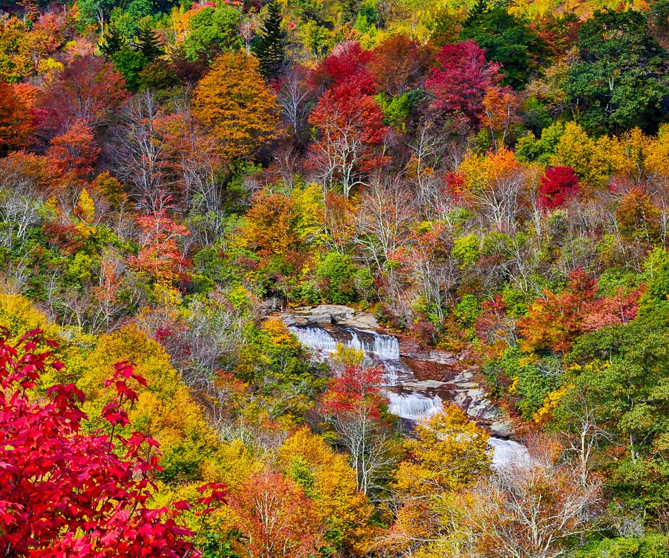 Обои деревья, осень, поток, речка, trees, autumn, stream, river разрешение 2048x1365 Загрузить