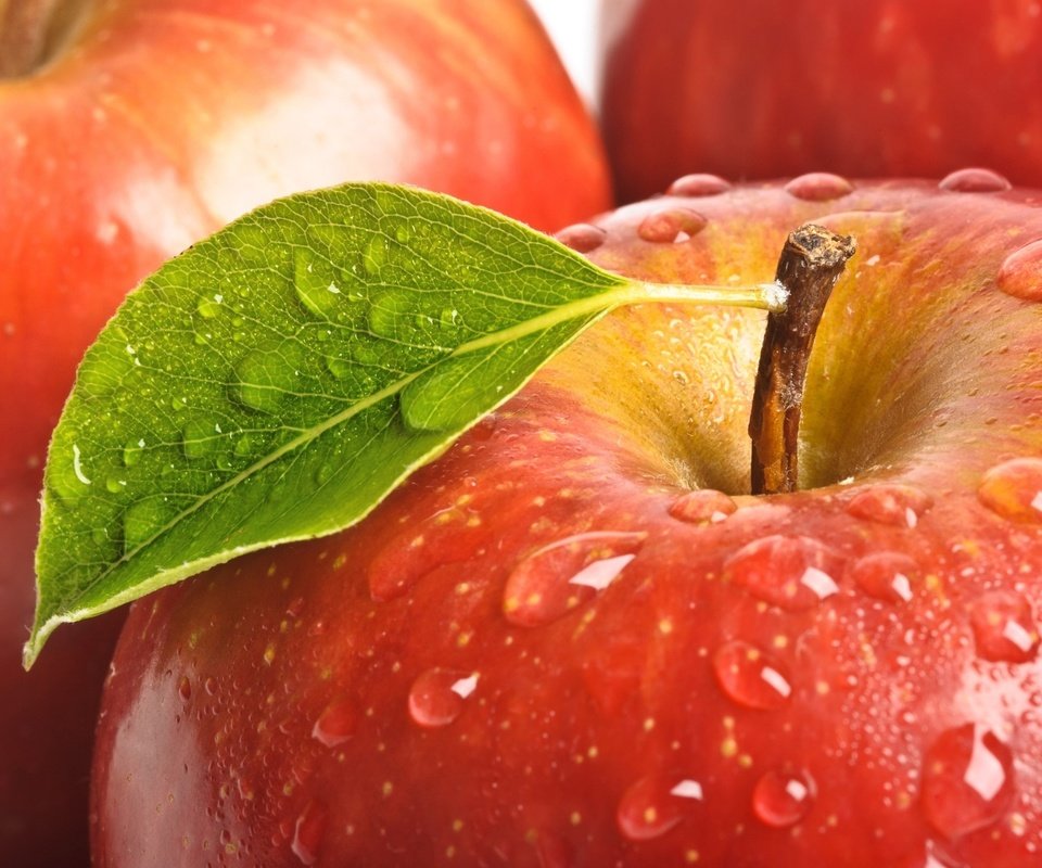 Обои макро, капли, фрукты, листок, яблоко, красное, сочное, macro, drops, fruit, leaf, apple, red, juicy разрешение 2560x1440 Загрузить