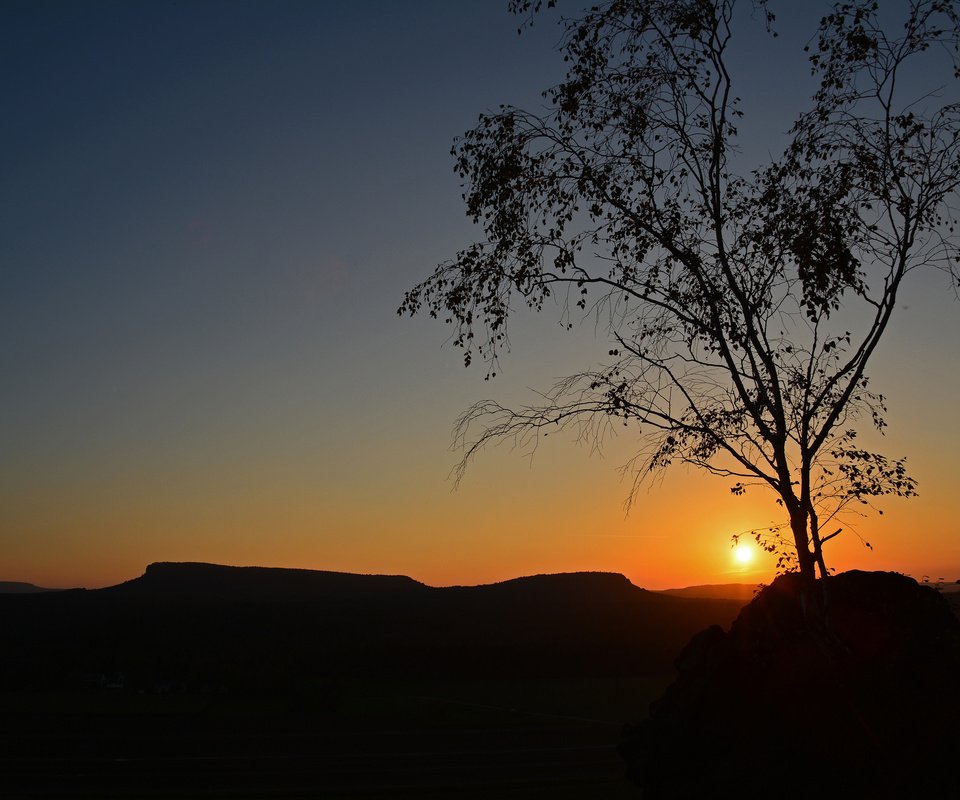 Обои небо, солнце, дерево, закат, силуэт, the sky, the sun, tree, sunset, silhouette разрешение 2048x1365 Загрузить