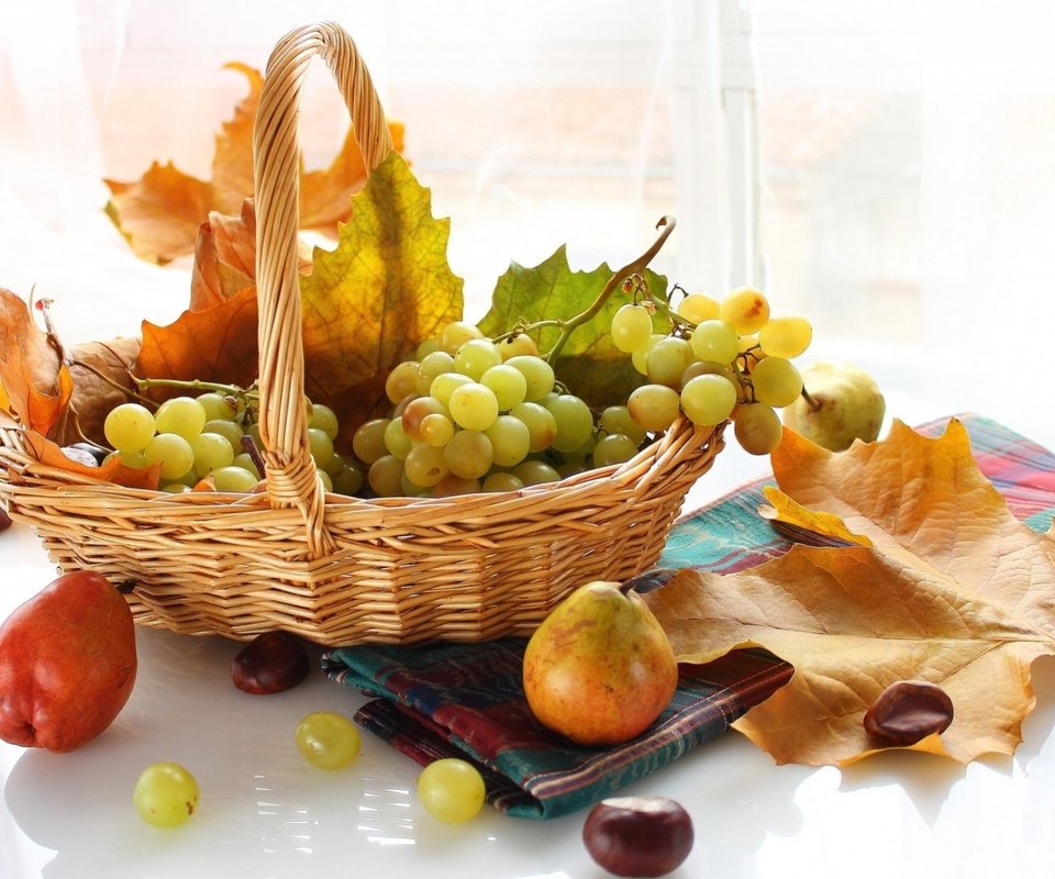 Обои листья, виноград, фрукты, осень, корзинка, груши, leaves, grapes, fruit, autumn, basket, pear разрешение 1920x1293 Загрузить