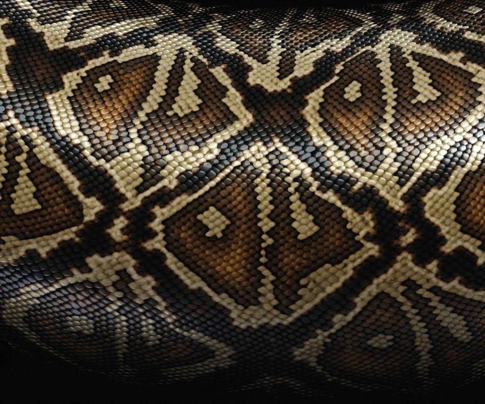 Обои рисунок, змея, кожа, расцветка, питон, змеиная кожа, figure, snake, leather, colors, python, snakeskin разрешение 1920x1200 Загрузить