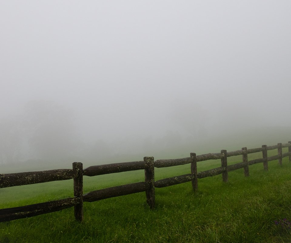 Обои трава, туман, поле, забор, ограждение, мгла, grass, fog, field, the fence, haze разрешение 2560x1600 Загрузить