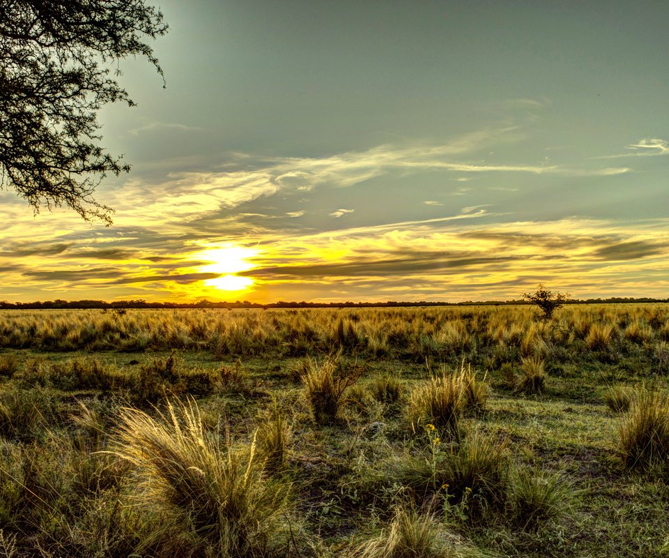 Обои небо, трава, поле, горизонт, рассвет, аргентина, the sky, grass, field, horizon, dawn, argentina разрешение 3008x2000 Загрузить