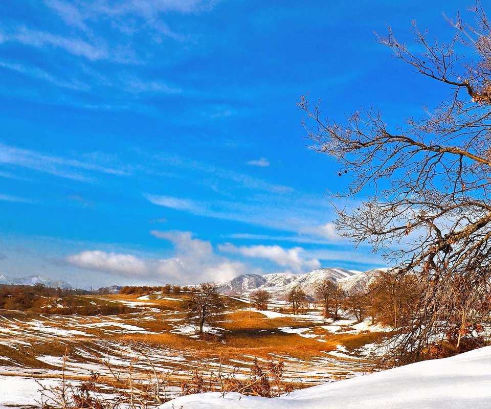 Обои небо, деревья, горы, снег, долина, the sky, trees, mountains, snow, valley разрешение 2048x1152 Загрузить