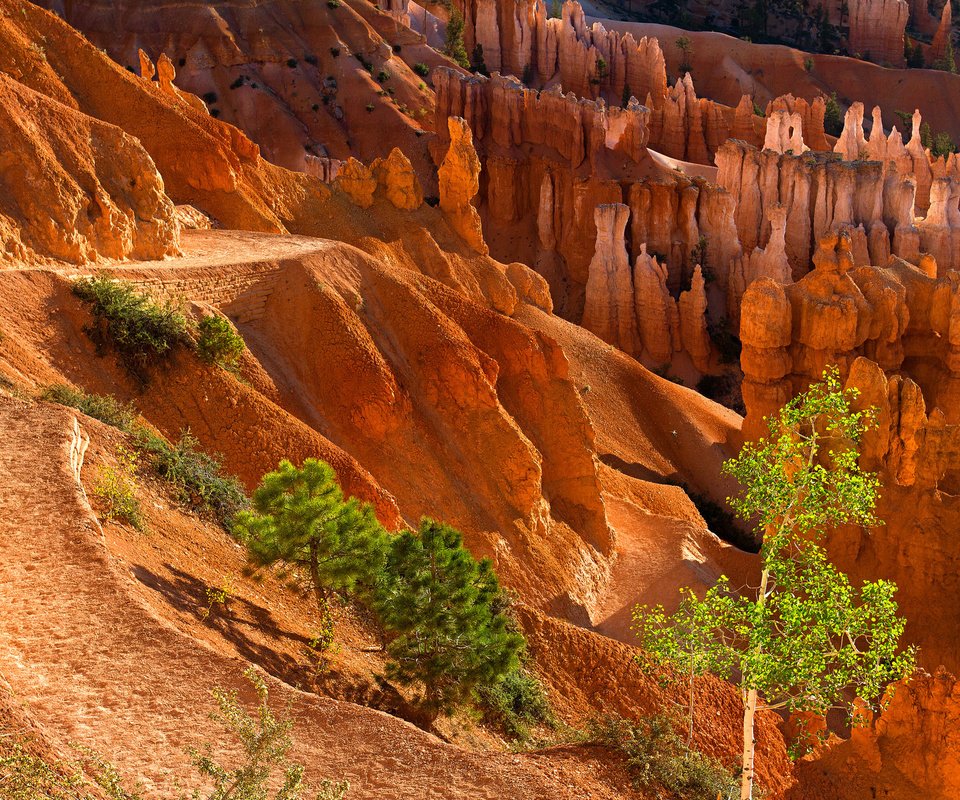 Обои деревья, горы, скалы, камни, каньон, trees, mountains, rocks, stones, canyon разрешение 2048x1365 Загрузить