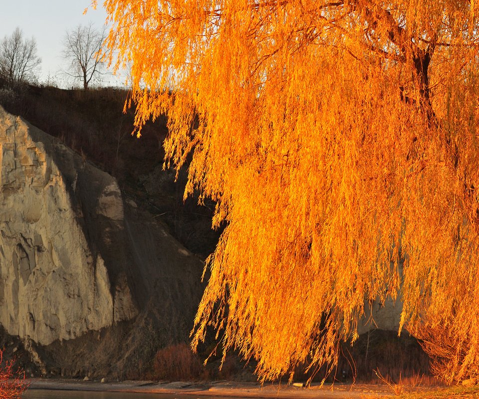 Обои небо, дерево, скала, осень, the sky, tree, rock, autumn разрешение 2048x1360 Загрузить