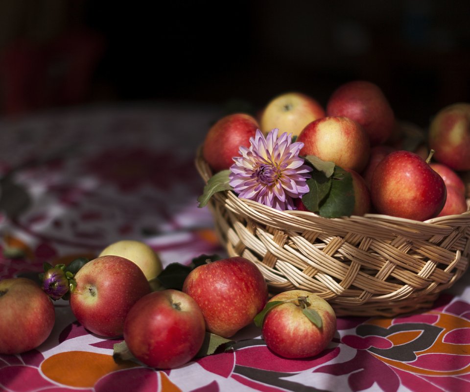 Обои еда, фрукты, яблоки, food, fruit, apples разрешение 5616x3744 Загрузить