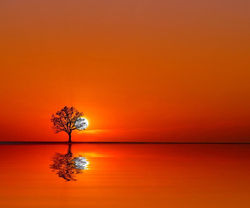 Обои вода, дерево, закат, отражение, пейзаж, оранжевое небо, water, tree, sunset, reflection, landscape, orange sky разрешение 2048x1335 Загрузить