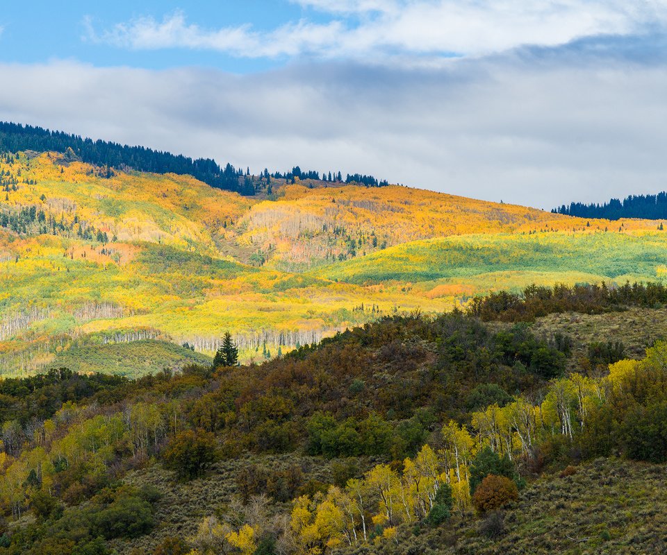 Обои деревья, горы, холмы, пейзаж, осень, trees, mountains, hills, landscape, autumn разрешение 1920x1280 Загрузить