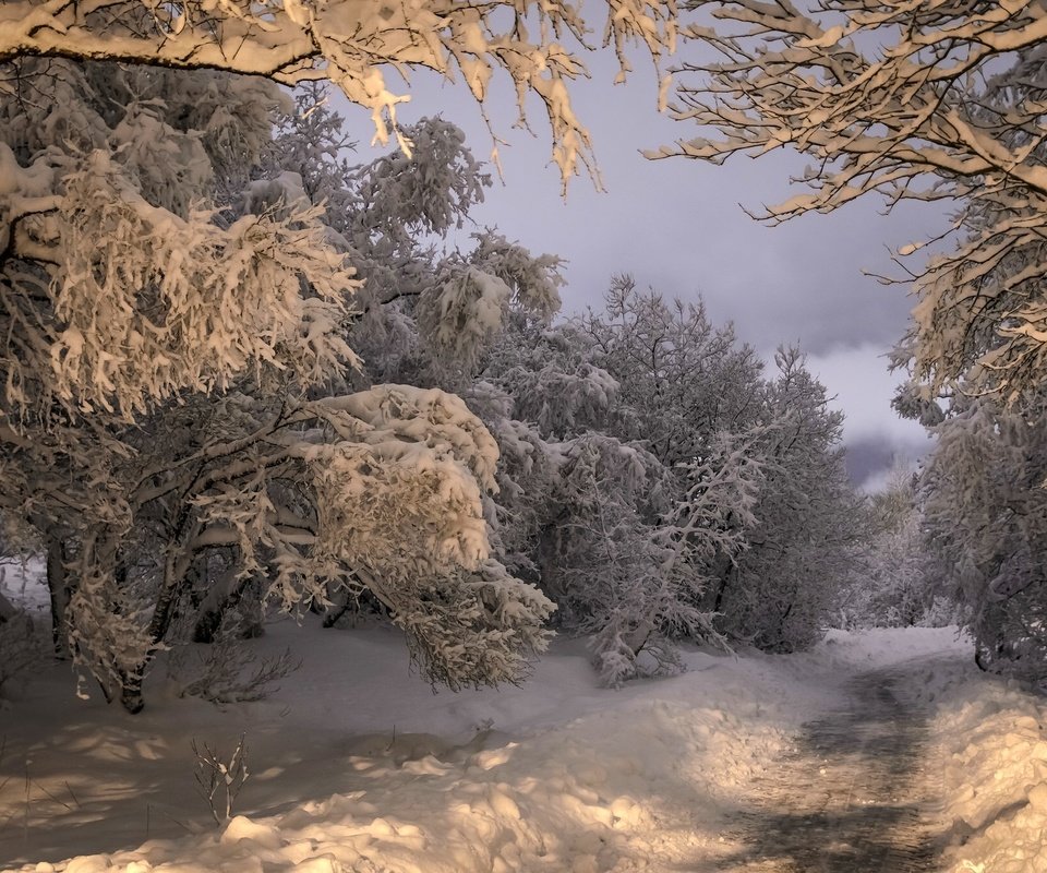 Обои дорога, деревья, снег, лес, зима, исландия, коупавогюр, road, trees, snow, forest, winter, iceland, kópavogur разрешение 2048x1356 Загрузить