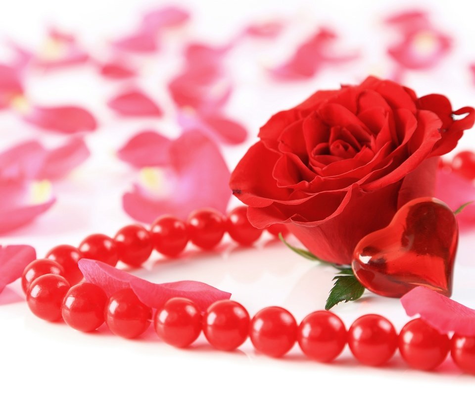 Обои цветок, роза, лепестки, сердечко, сердце, бусы, украшение, valentines day, bead, flower, rose, petals, heart, beads, decoration разрешение 2880x1931 Загрузить