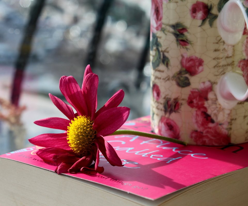 Обои цветок, лепестки, кружка, розовые, чашка, книга, flower, petals, mug, pink, cup, book разрешение 2560x1600 Загрузить