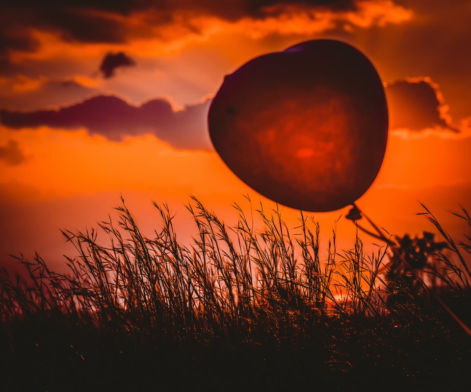 Обои трава, закат, сердце, шарик, heart balloon, grass, sunset, heart, ball разрешение 2048x1365 Загрузить