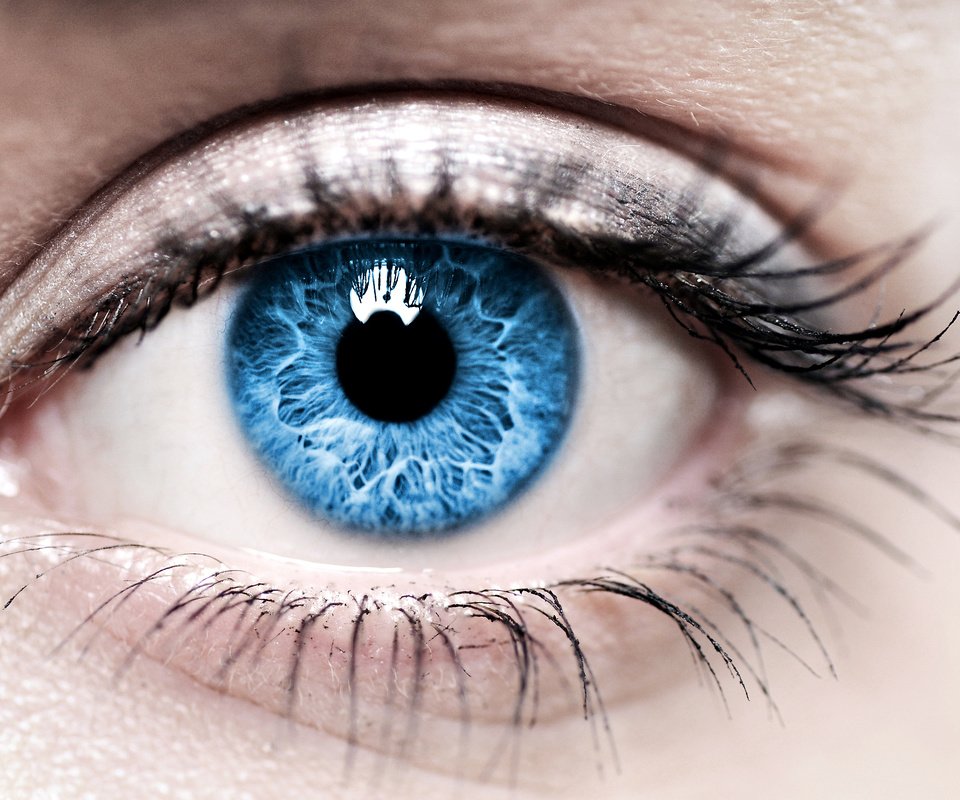 Обои синий, глаз, женщина, голубая, глазок, ирис, blue, eyes, woman, eye, iris разрешение 3000x1976 Загрузить