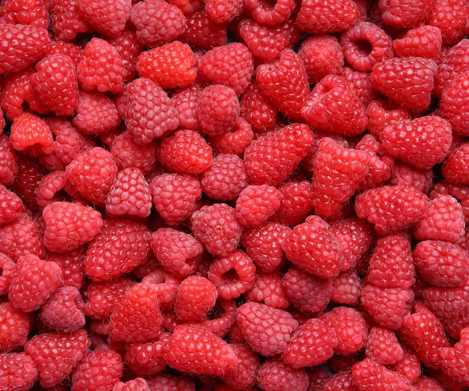 Обои малина, красная, ягоды, много, raspberry, red, berries, a lot разрешение 4600x3026 Загрузить